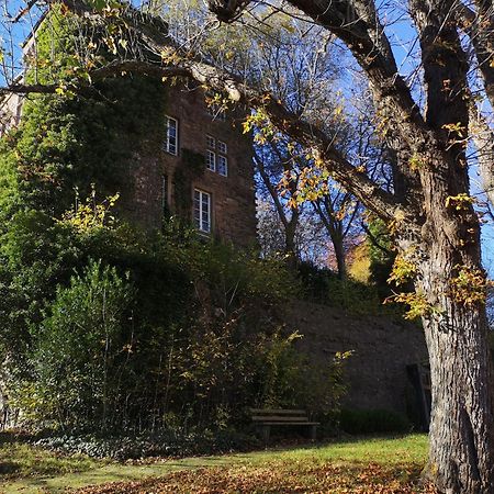 Ferienwohnung Eifelblick Schleiden Buitenkant foto