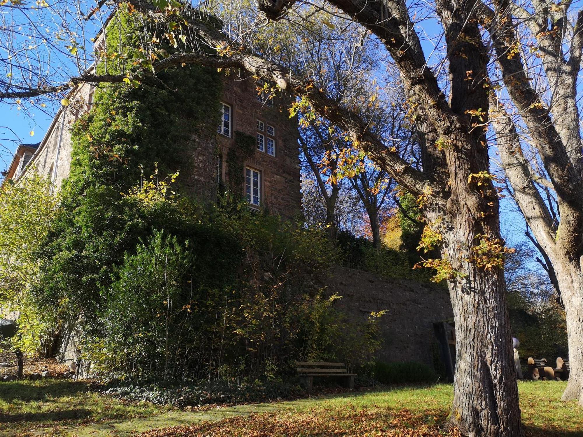 Ferienwohnung Eifelblick Schleiden Buitenkant foto