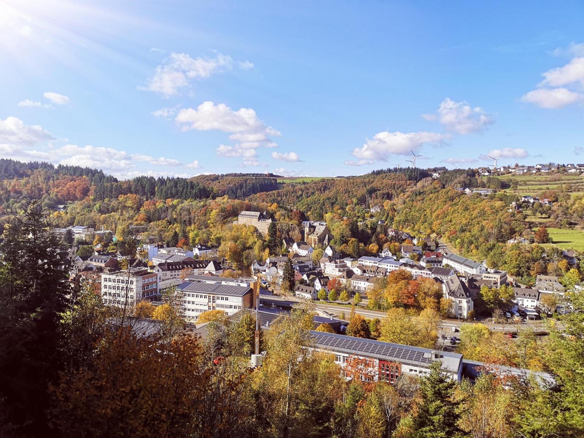 Ferienwohnung Eifelblick Schleiden Buitenkant foto